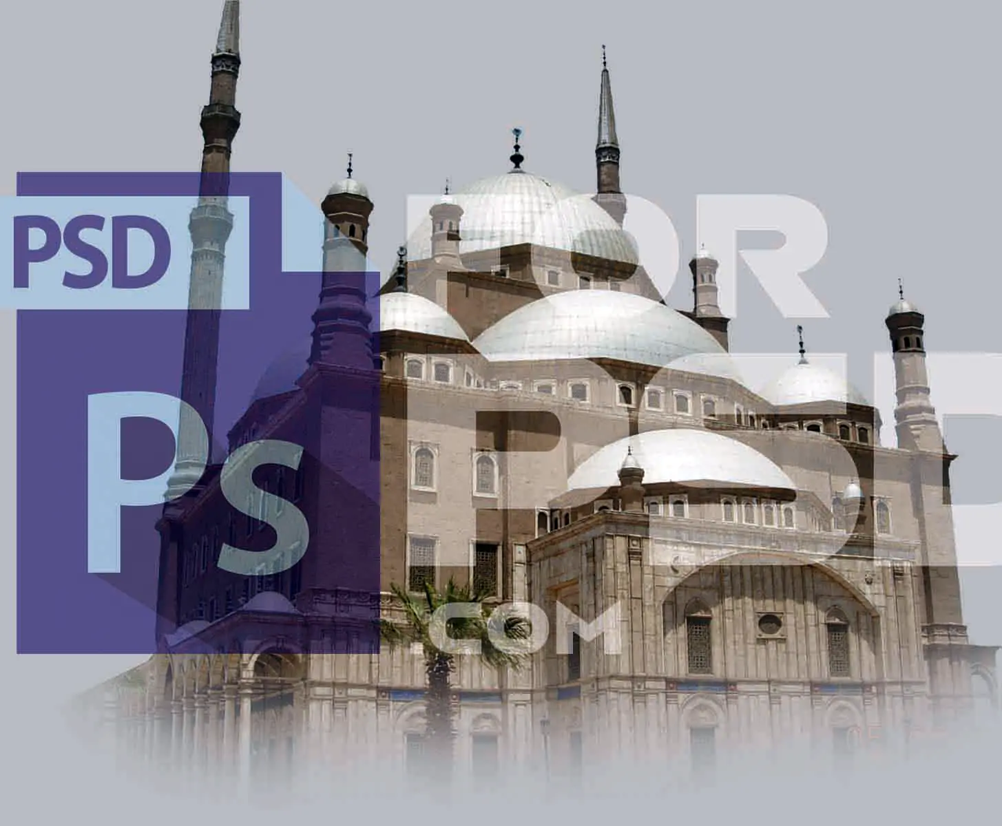 Image Preview